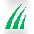Sawgrass logo 